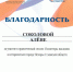 Волонтеры наследия - Шарангский район