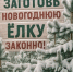 Елочка, живи! - Шарангский муниципальный округ