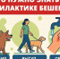 О профилактике бешенства - Шарангский муниципальный округ